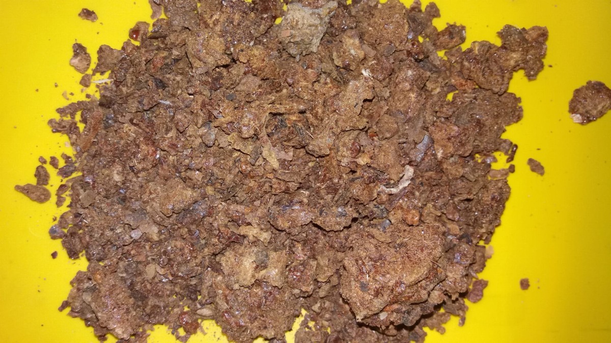 propolis.jpg