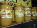 IMG20250922080646.jpg