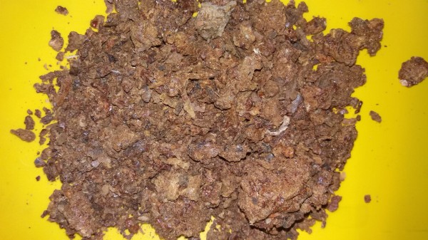 Propolis/Kit pszczeli 50 gramów